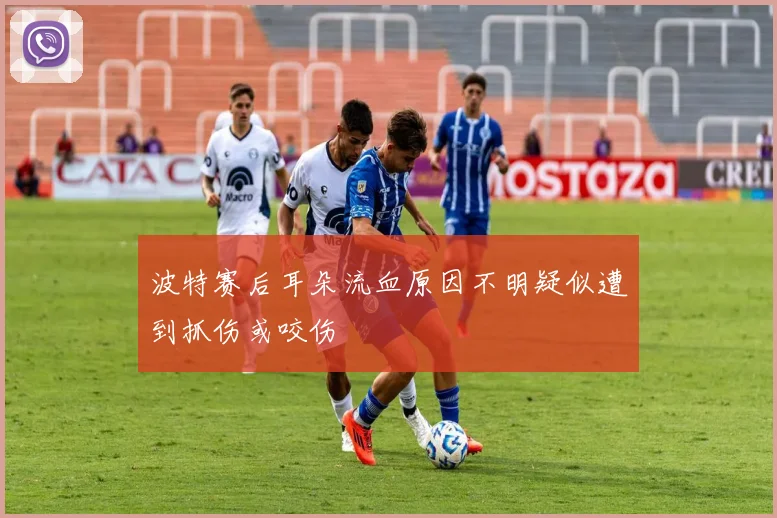 波特赛后耳朵流血原因不明疑似遭到抓伤或咬伤